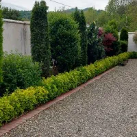 محوطه سازی وگل کاری ونگهداری فضای سبز