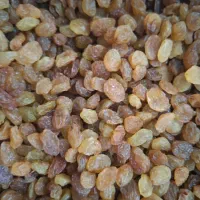 کشمش تاکستان فوق‌العاده ممتاز باکیفیت