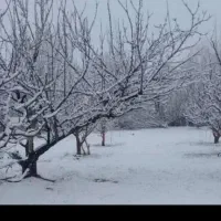 پیاده روی وسرگرمی