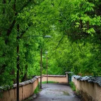 معاوضه-یا-تهاتر-باغ