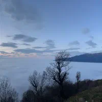 زمین‌های تفکیکی در گیلان فرصت ویژه سرمایه گذاری