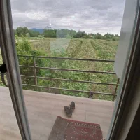 ویلا  اجاره ای|اجارهٔ کوتاه‌مدت ویلا و باغ|املش, |دیوار