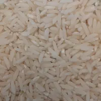 برنج طارم هاشمی