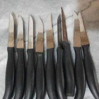 چاقو میوه خوری
