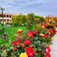 معاوضه اندیشه با آپارتمان قزوین