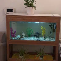 آکواریوم (بدون ماهی)