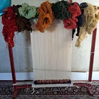 قالی درحد نو