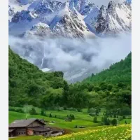 راهنمای کردن