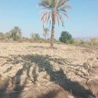 زمین باغی فروشی باکلی امکانات ولولهکشیآب