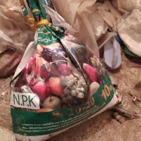 جلبک وهیومکس ورورال وسه بیست