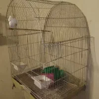 قفس پرندگان تکمیل|لوازم جانبی حیوانات|بوکان, |دیوار