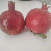 انار معصوم آباد.تقاب مخصوص یلدا