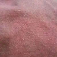 موکت کبریتی زرشکی رنگ ۲۲ متری