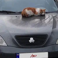 تیبا صندوق‌دار SX، مدل ۱۳۹۳|خودرو سواری و وانت|تهران, شادمان|دیوار