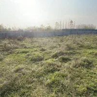 زمین باغی 260متری|فروش زمین و ملک کلنگی|رشت, گلباغ نماز|دیوار