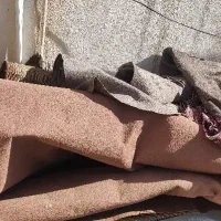 شصت متر موکت دست دوم