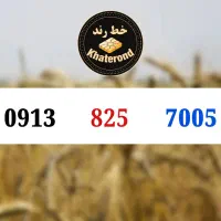 0913.8.34.3004|سیم‌کارت|اصفهان, خواجو|دیوار