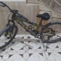 دوچرخه ویوا اصل24