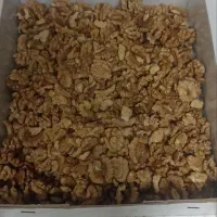 گردو مغز سفید|خوردنی و آشامیدنی|پاوه, |دیوار