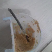 جوجه قناری دستی