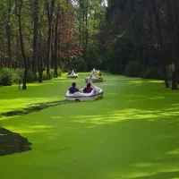 تور رشت ریلی 5*