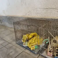 ۳عدد قفس پرنده نو با لوازم جانبی|لوازم جانبی حیوانات|اندیشه, شهرک مریم|دیوار