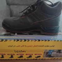 کفش ایمنی