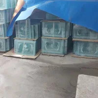 نیروی کار خانم