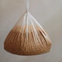جفت بالغ مرغ عشق با تمام لوازم و ارزن|پرنده|بندر ترکمن, |دیوار