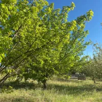 باغ شهر|فروش دفتر صنعتی، کشاورزی، تجاری|زنجانرود, |دیوار