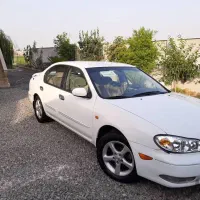 اجاره انواع خودروهای ایرانی وخارجی|خودرو اجارهای|قزوین, |دیوار