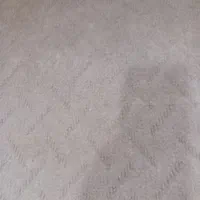 موکت قهوه ای رنگ شسته شده