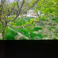 فروش باغ ۵۰۰ متری ۱ خوابه در بوستان ناژوان|فروش زمین و ملک کلنگی|اصفهان, بوستان ناژوان|دیوار