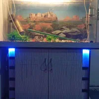 آکواریوم با همه وسایل