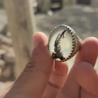 انگشتر شجر|جواهرات|نورآباد, |دیوار