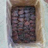 خرما جدول ترکی