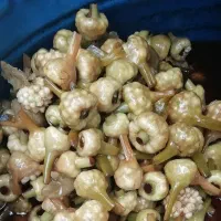 ترشی گل سیر