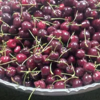 گیلاس