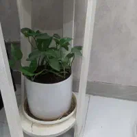 پایه گل دو طبقه