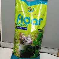 غذای فیدار گربه بالغ