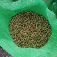 لوبیا چیتی وسبز|خوردنی و آشامیدنی|منجوان, |دیوار