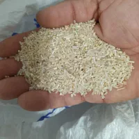 برنج نیم دانه طارم هاشمی