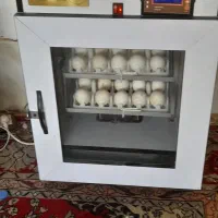 دستگاه جوجه کشی