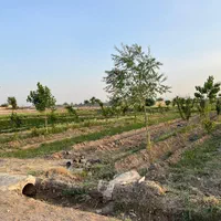 زمین باغی با مجوز فنس|فروش زمین و ملک کلنگی|اصفهان, راران|دیوار
