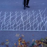بزرگترین  تولیدی شاخ گوزنی کشور