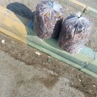 خرمای تازه و خوب