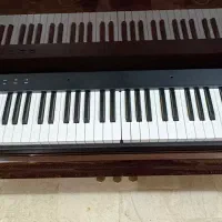 پیانوی تاشو|پیانو، کیبورد، آکاردئون|یزد, |دیوار