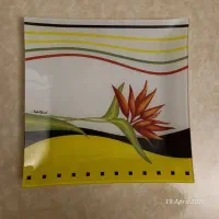 دیس بلور