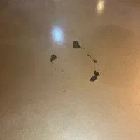 میزنهارخوری ۶ نفره فروش فوری ۱۵|میز و صندلی غذاخوری|مشهد, الهیه|دیوار