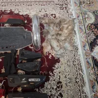 لوازم ماشین